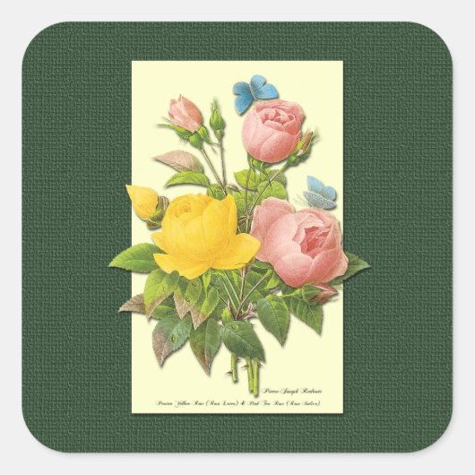 Roze gele  botanische Rozen ticker Vierkante Sticker (Voorkant)
