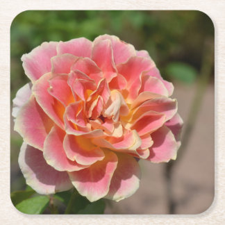 Roze Gele Roos Onderzetter