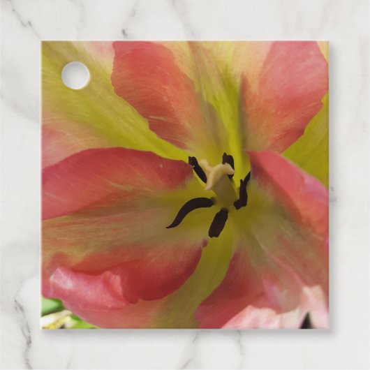 Roze & Gele Tulp Bedankjes Labels (Voorkant)