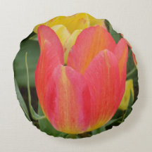 Roze gele tulpen rondreis