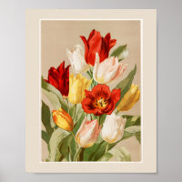 Roze, gele, witte en rode tulpen