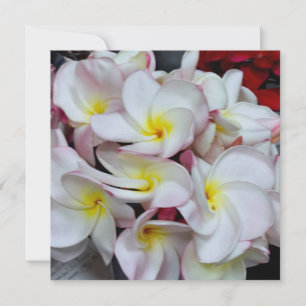 Roze gerande Plumeria Bloesems – Tropische Bloemen Notitiekaartje