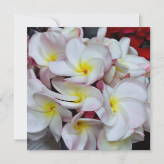 Roze gerande Plumeria Bloesems – Tropische Bloemen Notitiekaartje