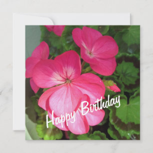 Roze Geranium Birthday Kaart