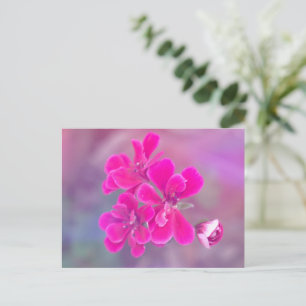 Roze Geranium Flowers Briefkaart   Fotografie