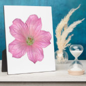 Roze Geranium Fotoplaat (Zijkant)