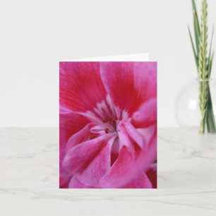 Roze geranium notecard kaart