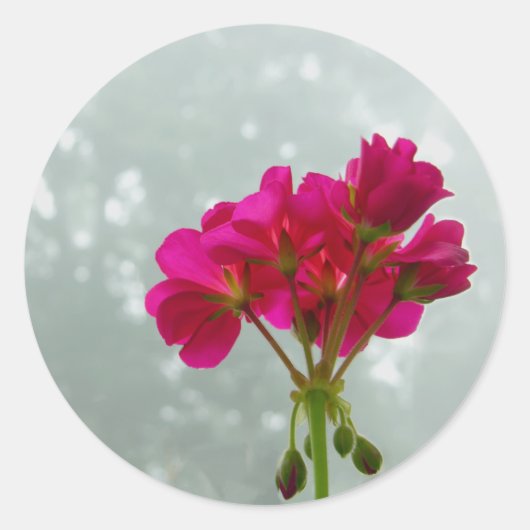 Roze Geraniums Floral Stickers (Voorkant)
