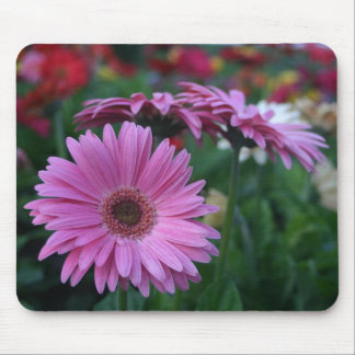Roze Gerber Daisies kleurrijk mousepad cadeauidee Muismat