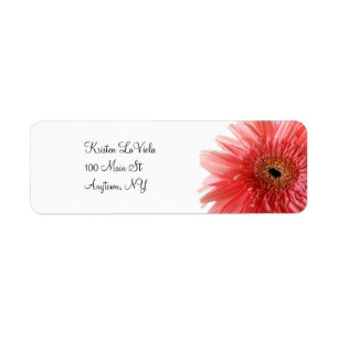 Roze Gerber Daisy Address Label