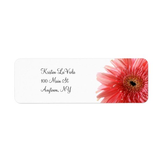 Roze Gerber Daisy adreslabel Etiket (Voorkant)
