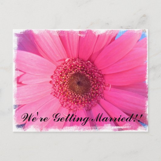 Roze Gerber Daisy bruiloft uitnodiging Briefkaart (Voorkant)