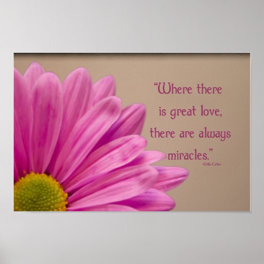Roze Gerber Daisy Miracles Poster (Voorkant)