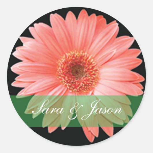 Roze Gerber Daisy op zwarte bruiloft sticker (Voorkant)
