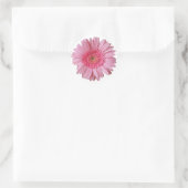 roze Gerber Daisy Sticker (Tas)