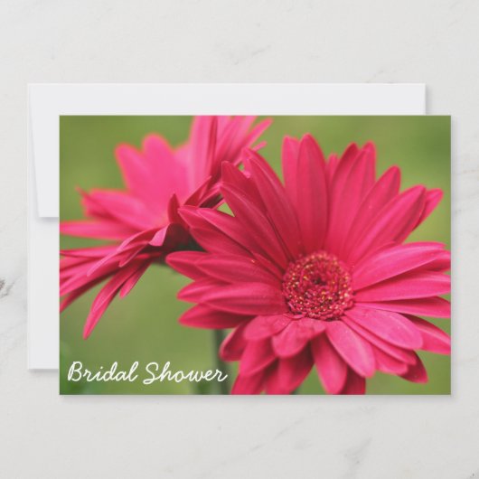 Roze Gerbera Daisy Bridal Shower Kaart (Voorkant)
