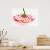 Roze Gerbera Daisy Flower Foto Poster (Keuken)