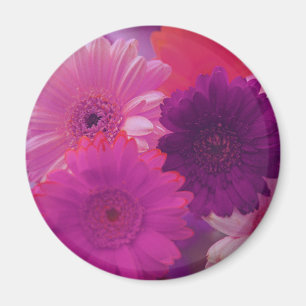 Roze Gerbera Daisy Flower koelkast Magnet Magneet