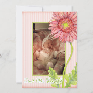 Roze Gerbera Daisy Foto Geboorteaankondiging Aankondiging
