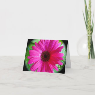Roze Gerbera Daisy notecard Kaart