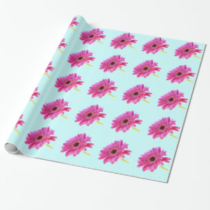 Roze Gerbera Daisy over blauwe achtergrond Cadeaupapier
