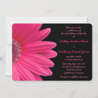 Roze Gerbera Daisy over uitnodiging voor een zwart