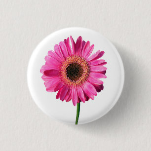 Roze Gerbera Flower Button / Badge