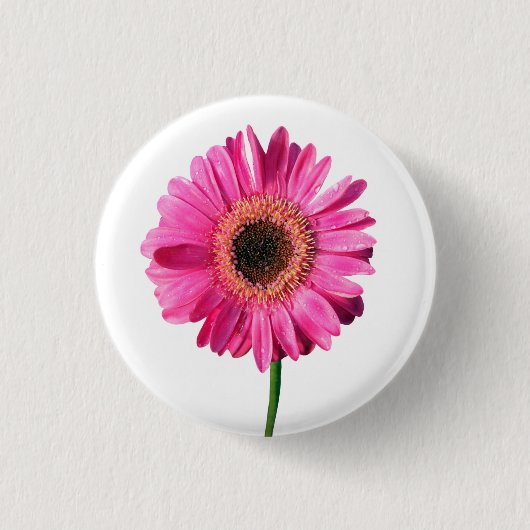 Roze Gerbera Flower Button / Badge (Voorkant)