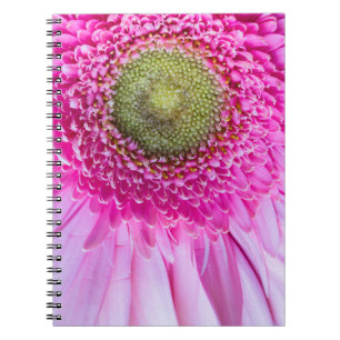 Roze Gerbera Madeliefjes Notitieboek