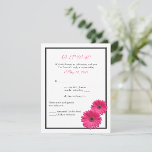 Roze Gerbera met Black Border Response Kaart (Staand voorkant)