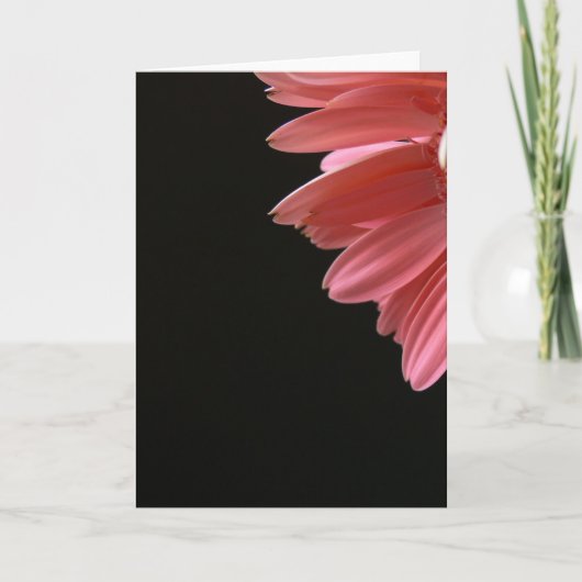 Roze Gerbera op Zwarte Kaart (Voorkant)