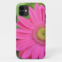 Roze Gerberas