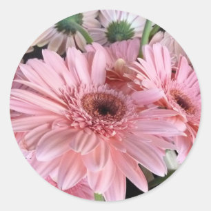 roze gerbera's ronde sticker