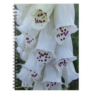 Roze gespikkelde witte vingerhoedskruid bloem notitieboek