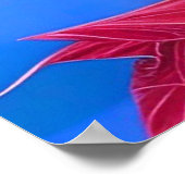 Roze gestreept Amaryllis en Poinsettia Bouquet Poster (Hoek)