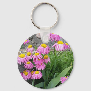 Roze geverfde daisy Flowers Natuur fotografie Sleutelhanger
