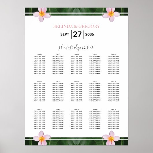 Roze gipsplaat voor peterijen poster (Voorkant)