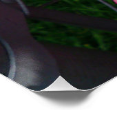 Roze Gladiola flower Perfect Poster (Hoek)