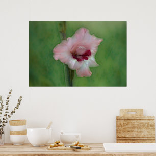  roze Gladiolus Flower Art Poster