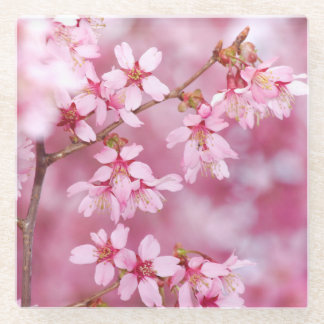 Roze Glas Coster Glazen Onderzetter