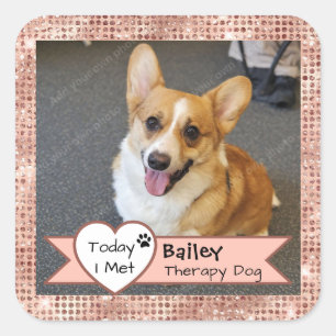 Roze Glitter Therapiehond Vandaag Heb Ik Bezocht S Vierkante Sticker
