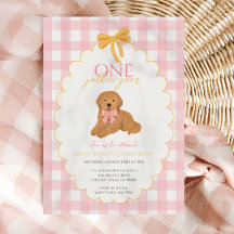Roze Goldendoodle Hond Eerste Verjaardagsfeestje
