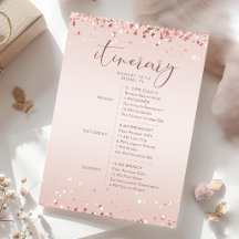 Roze Gouden Confetti Bruidsfeest Itinerariumkaart