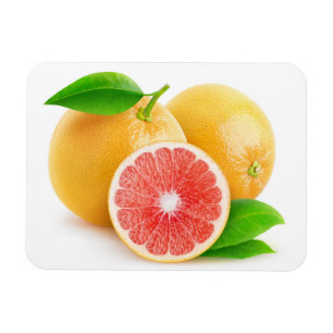 Roze grapefruits magneet
