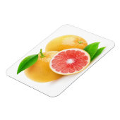 Roze grapefruits magneet (Linkerzijde)