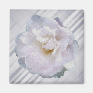 Roze grijze roos magneet