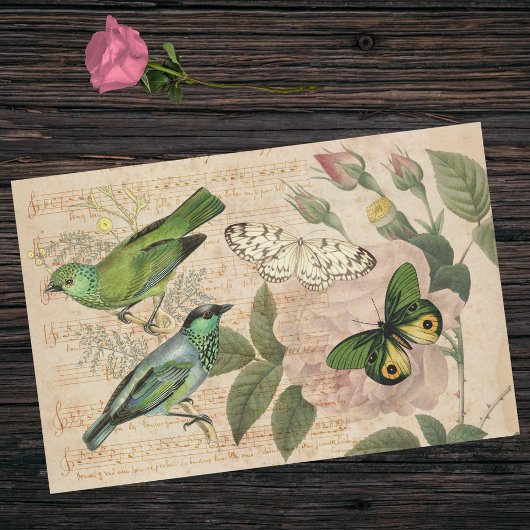 Roze Groene Musical Vogelvlinder Roos Ephemera Tissuepapier