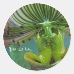 Roze groene Slipper Orchid Wedding Invitation Seal Ronde Sticker