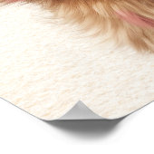 Roze Haar Beer Babykamer Poster (Hoek)