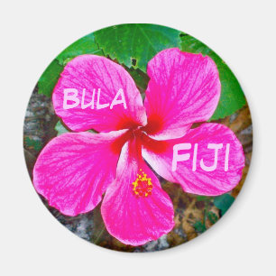 Roze Habiscus Magnet Magneet